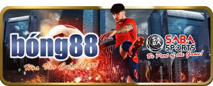 Người dùng truy cập MCW678 trên điện thoại